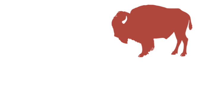 Buck Wild Bison
