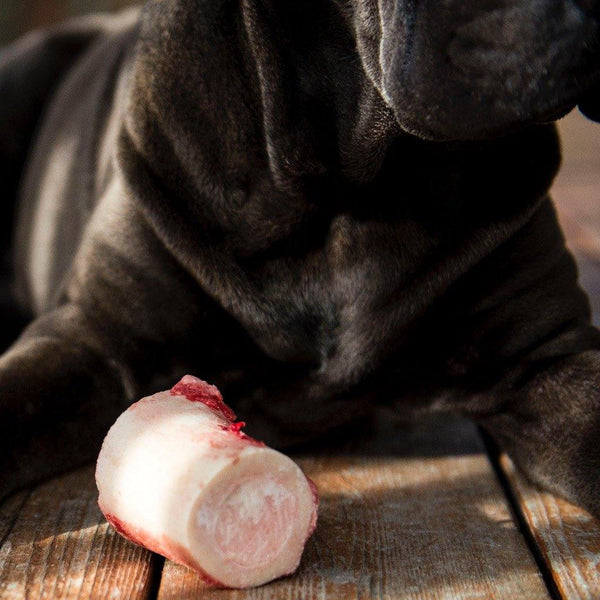 Are pork neck bones safe for shops dogs