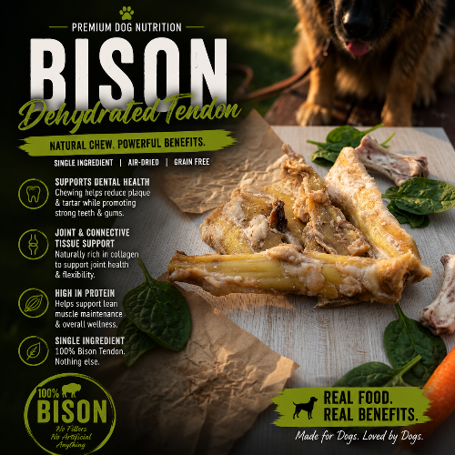 Bison Tendon Chew for Dogs