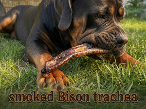 Bison Trachea Chew for Dogs