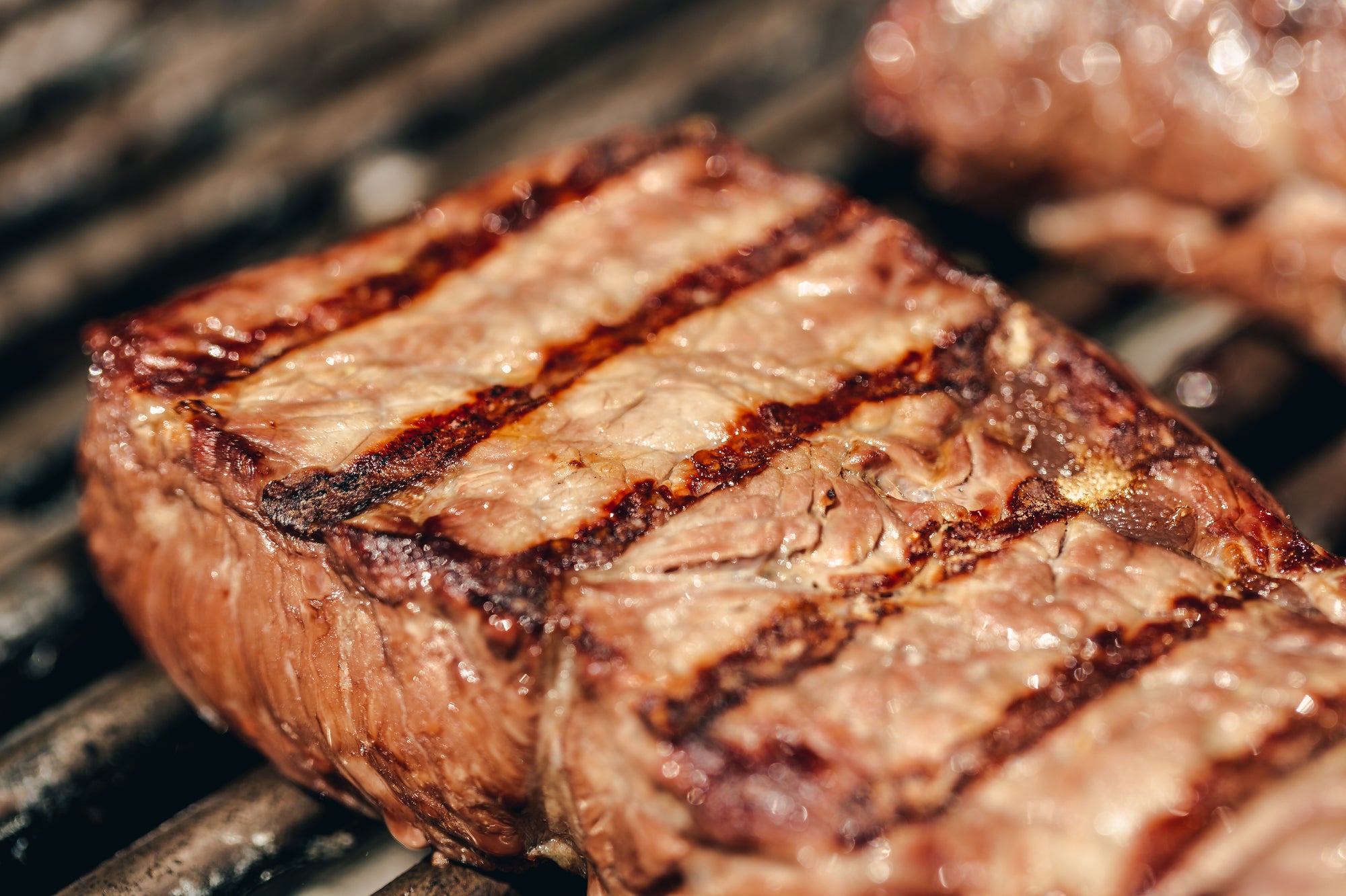 bison steak | Buck Wild Bison Meat