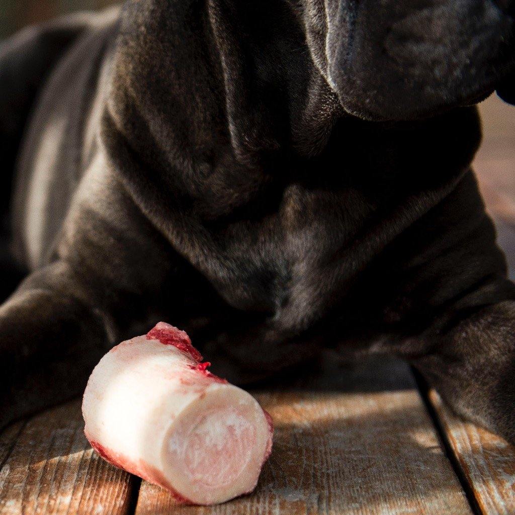 Beef and hotsell bison dog food